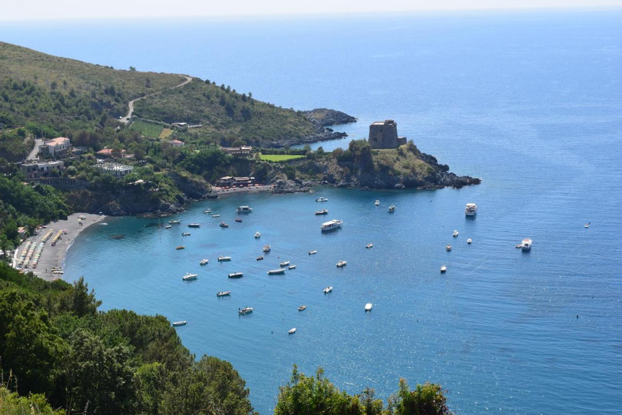 Bed & Breakfast Domus Pepe Scalea Εξωτερικό φωτογραφία